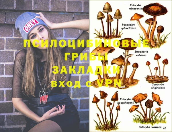 эйфоретик Балахна
