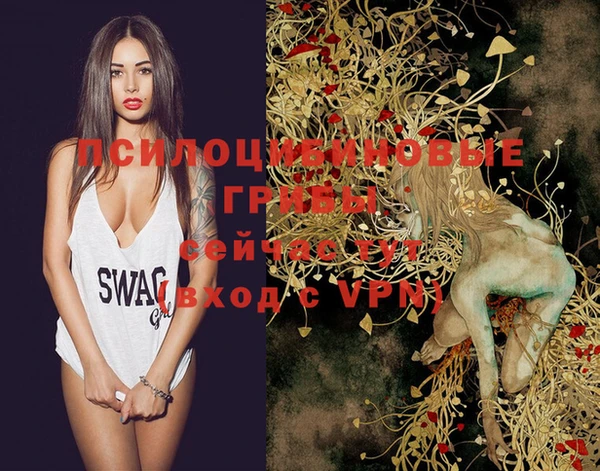 кокс Баксан